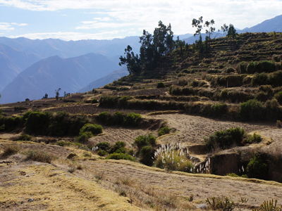 Peru